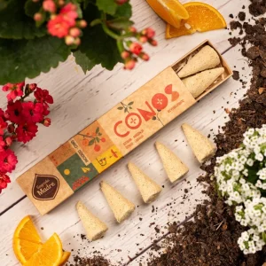 Sahumerio Conos Ambar y Naranja - Sagrada Madre